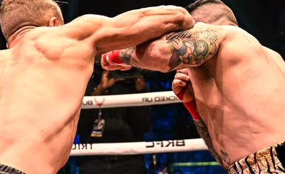 BKFC Fight Night