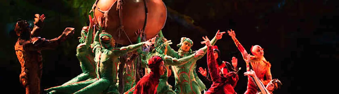Cirque du Soleil - Ovo