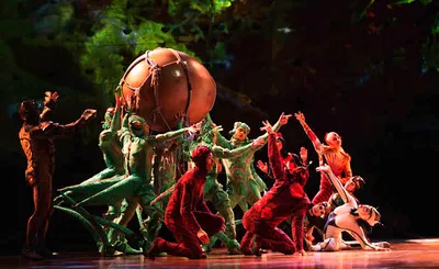 Cirque du Soleil - Ovo