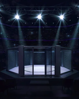 UFC 330: Makhachev vs. Machado Garry